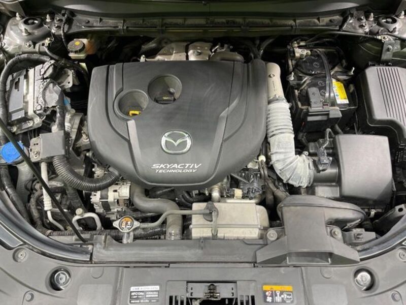 CX-8