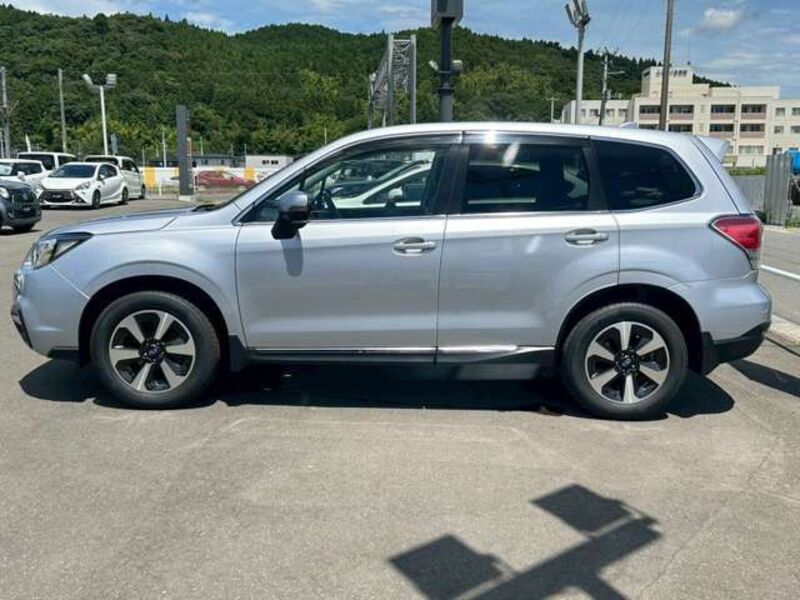 FORESTER
