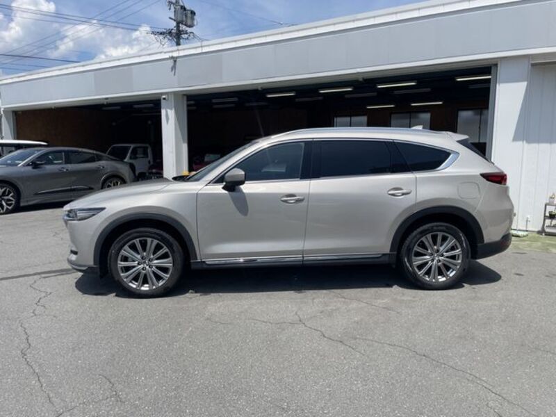 CX-8