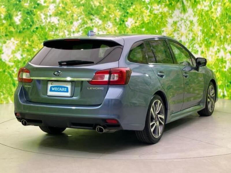 LEVORG