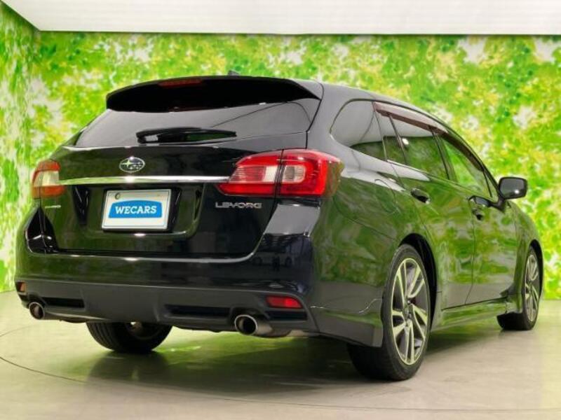 LEVORG