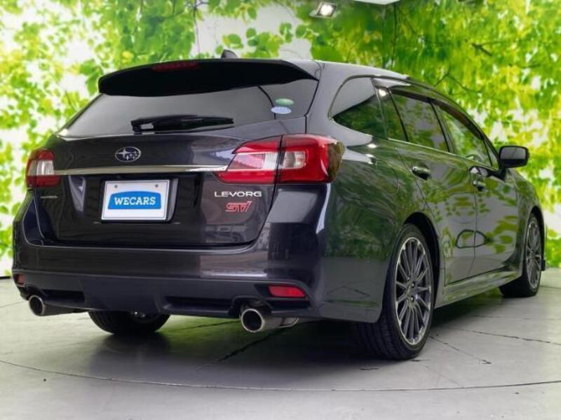 LEVORG