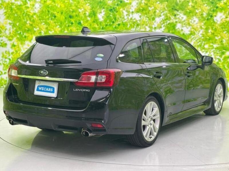 LEVORG