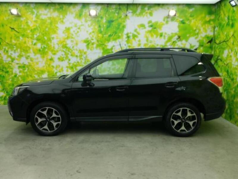 FORESTER