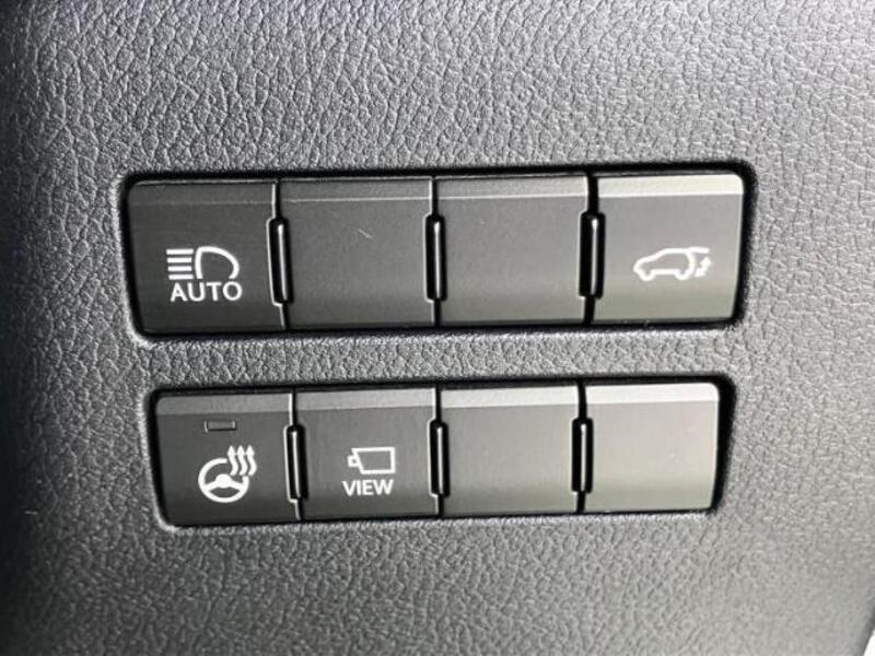NX