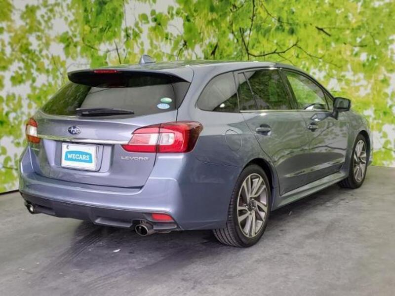 LEVORG