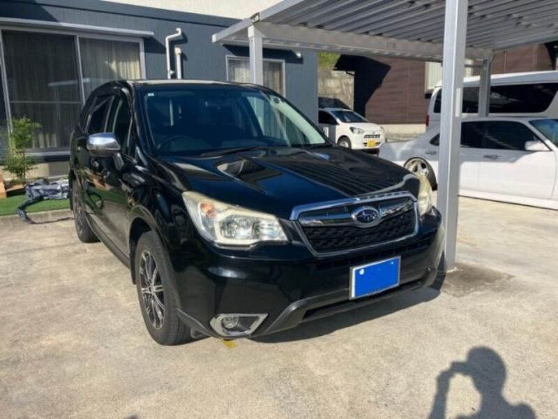 FORESTER