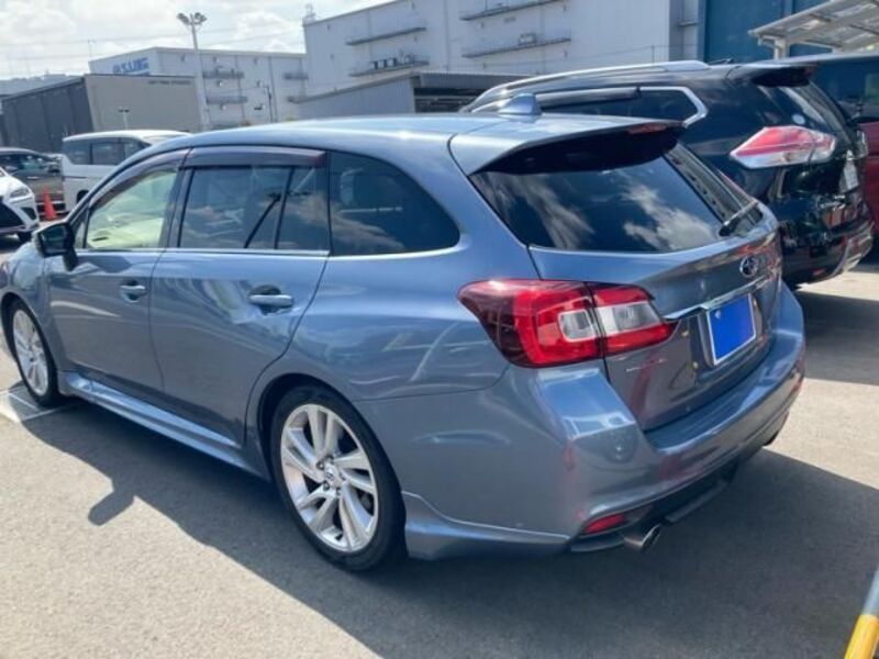 LEVORG