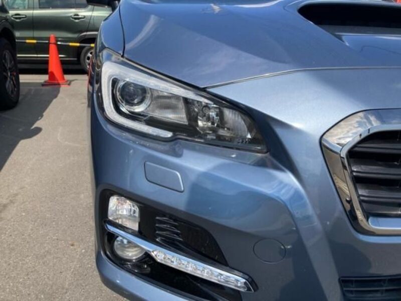 LEVORG