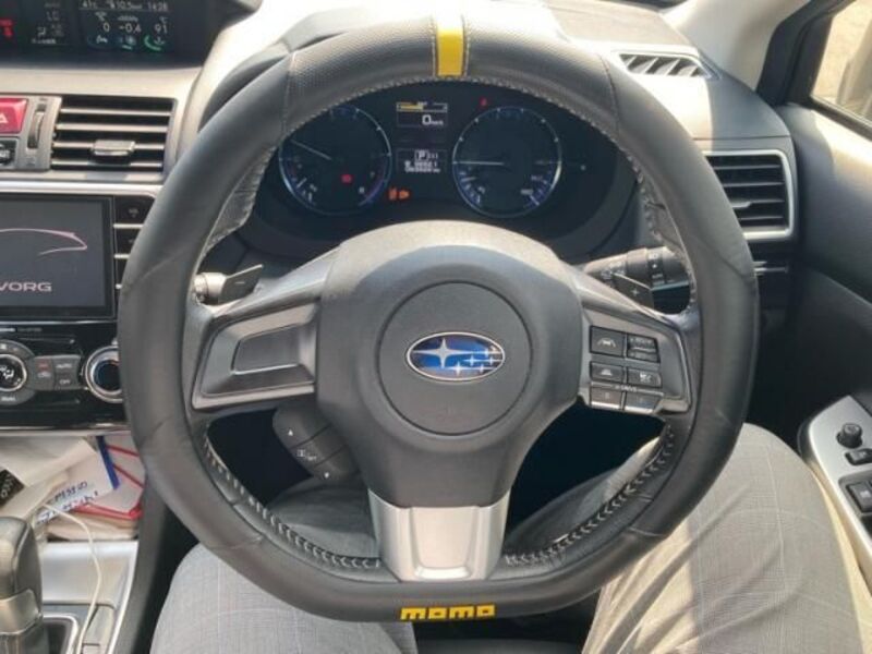 LEVORG