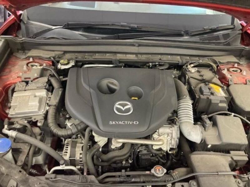 CX-30