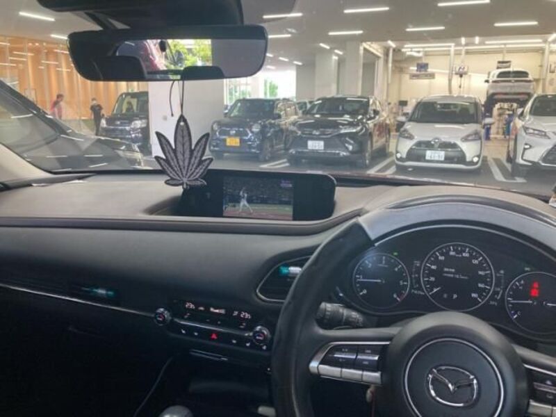CX-30