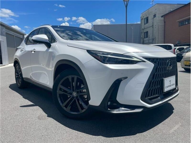 NX