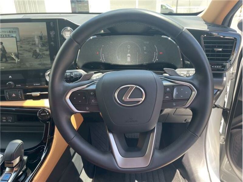 NX