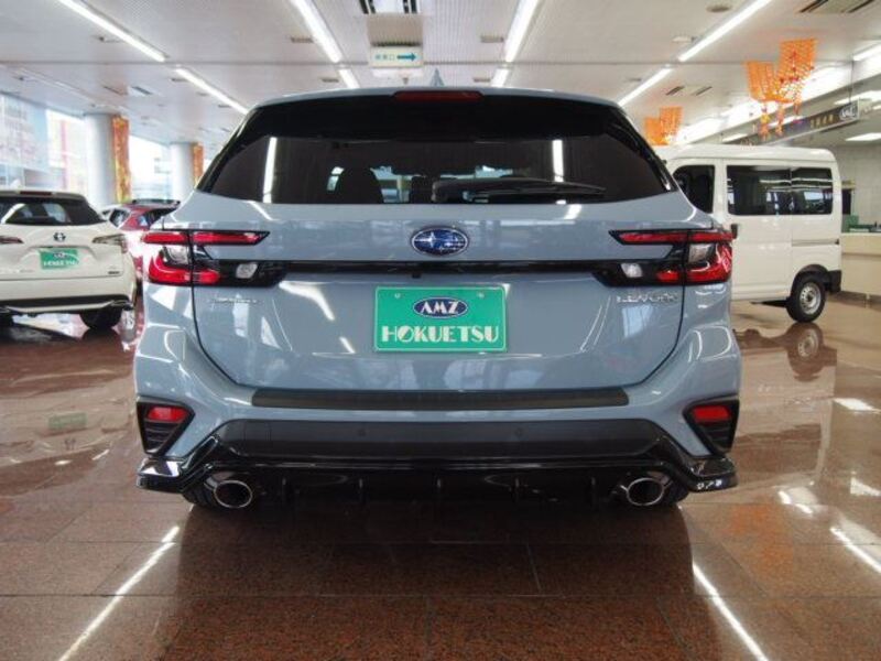 LEVORG