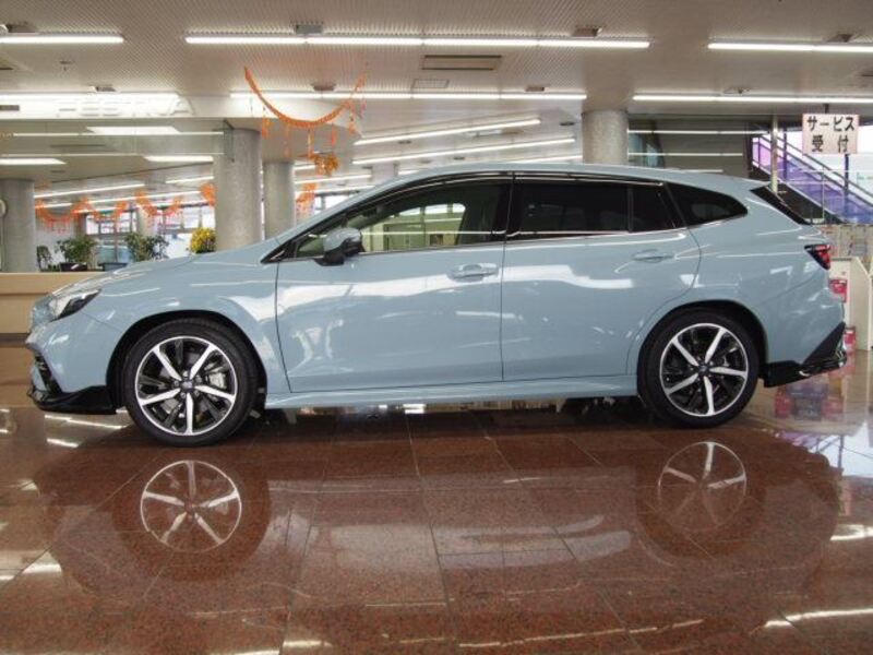 LEVORG
