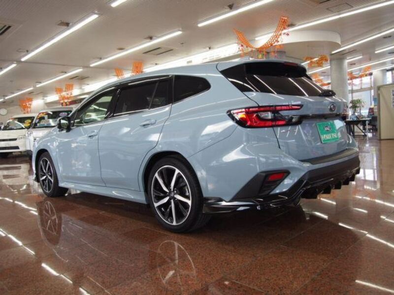 LEVORG