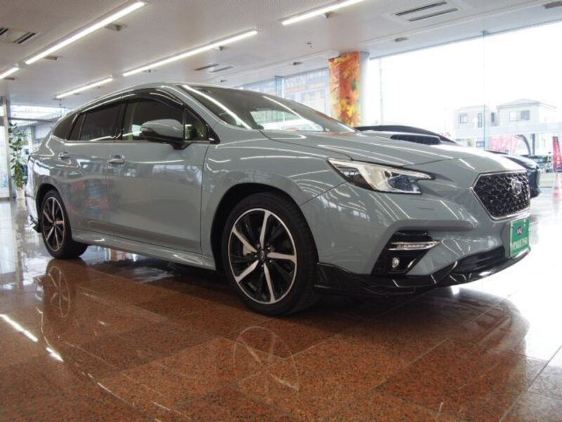 LEVORG