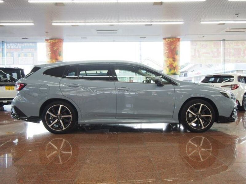 LEVORG