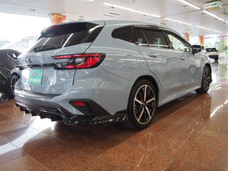 LEVORG