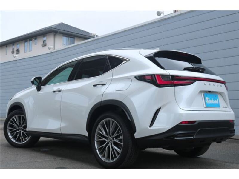 NX
