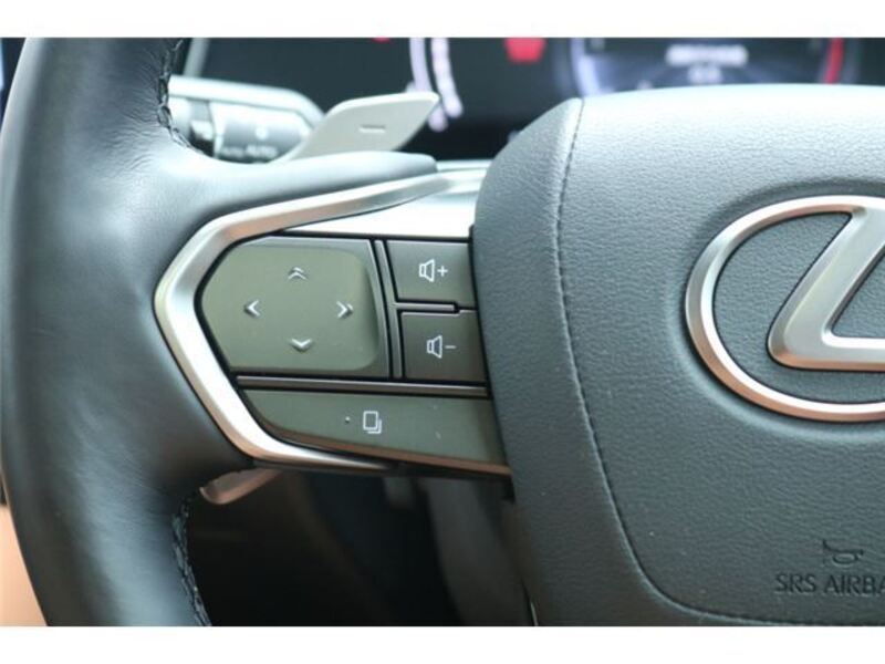 NX