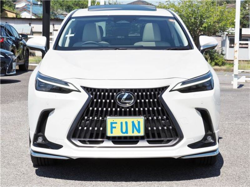 NX