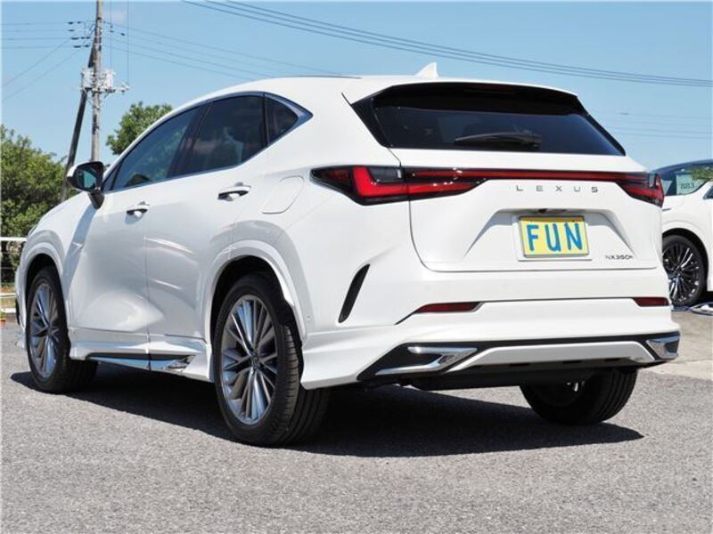 NX