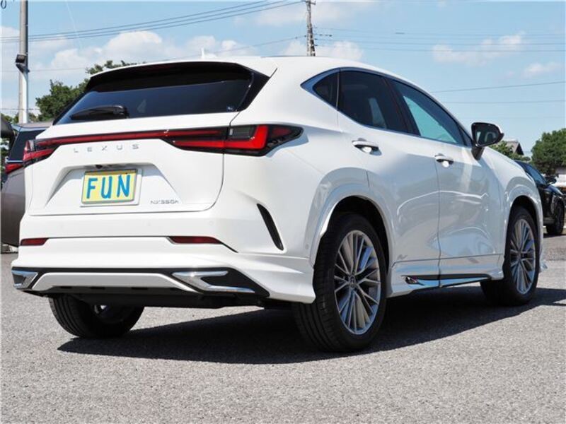 NX