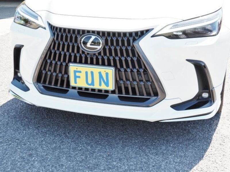 NX