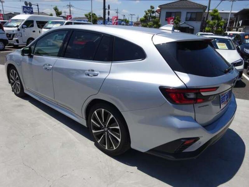 LEVORG