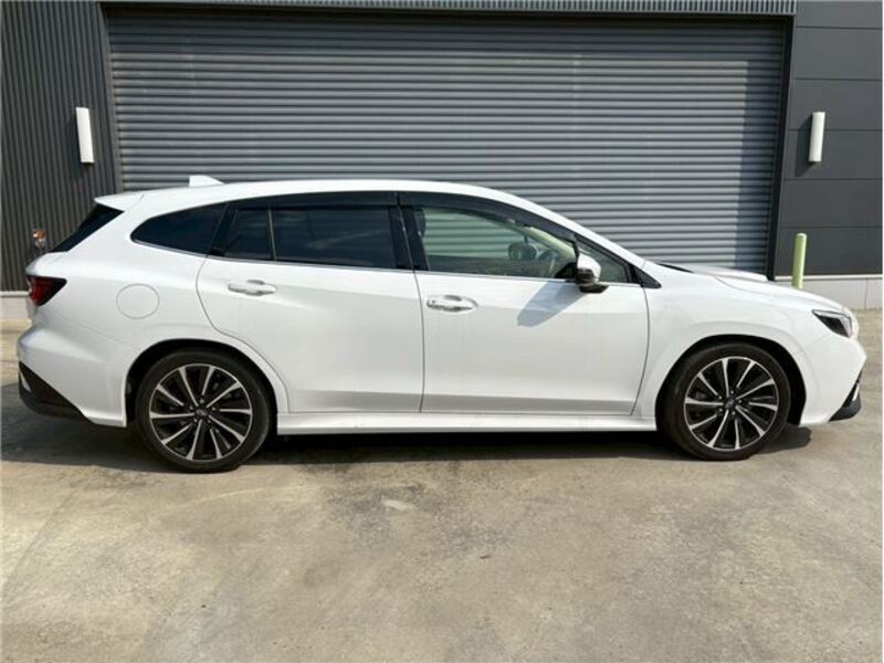 LEVORG