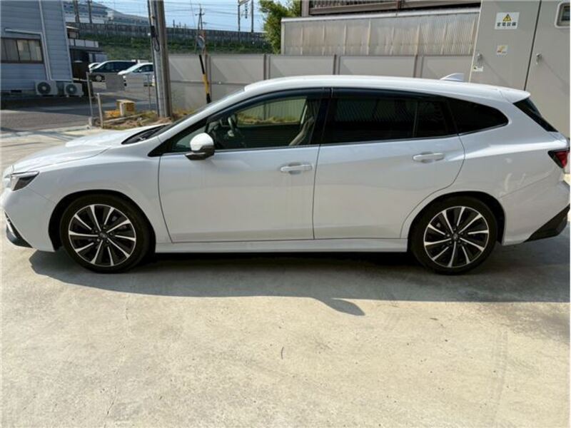 LEVORG