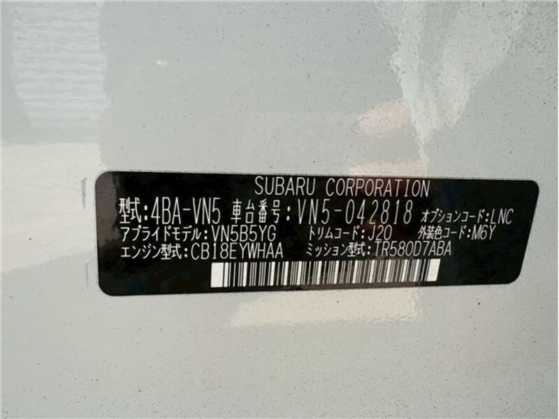 LEVORG