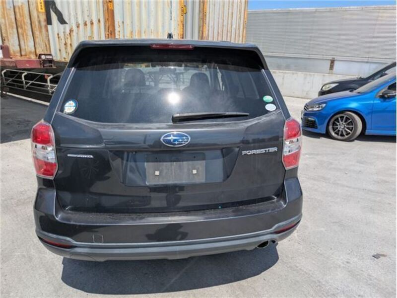 FORESTER