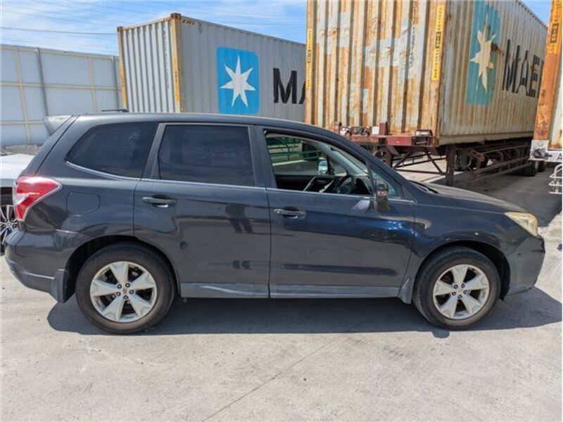 FORESTER