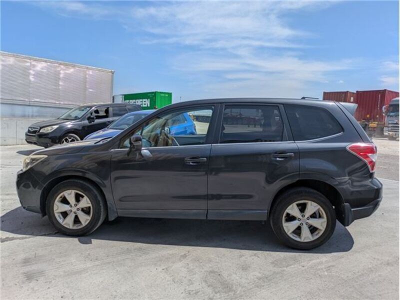 FORESTER