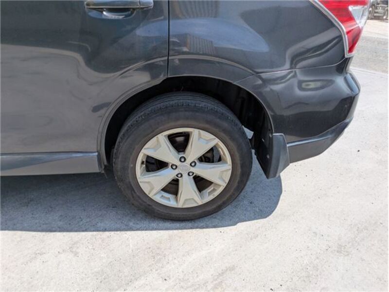 FORESTER