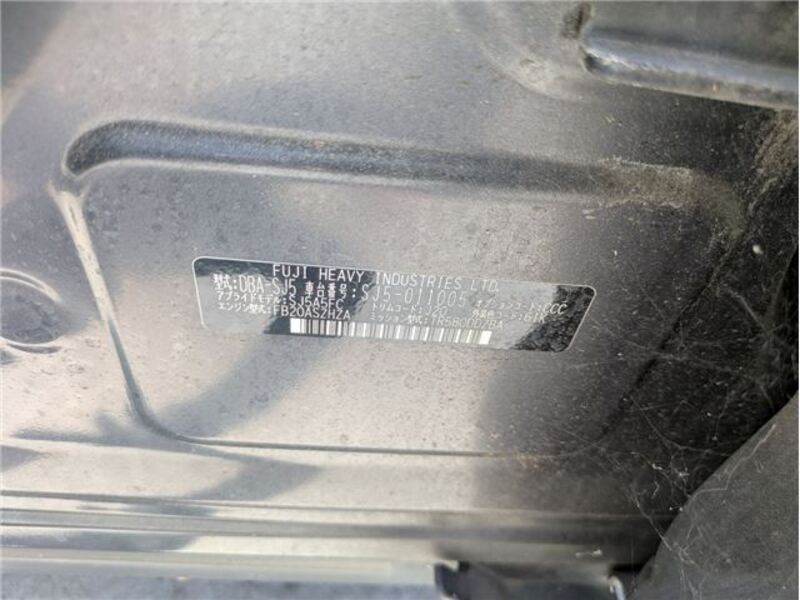 FORESTER