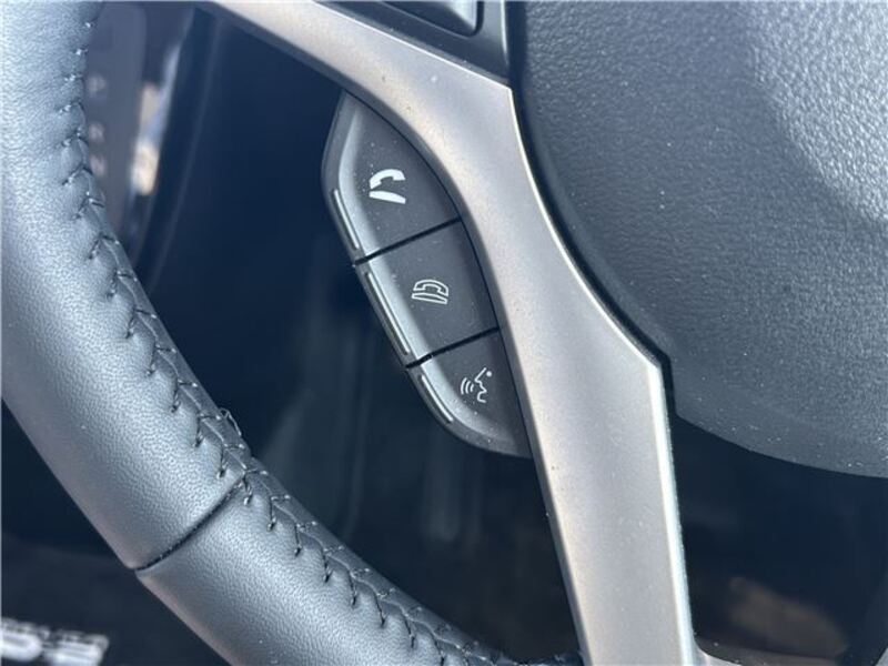 DELICA D2