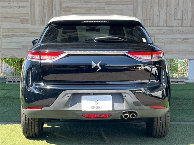 DS3