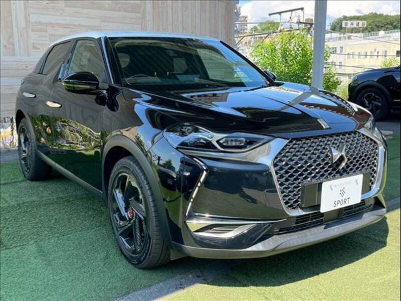 DS3