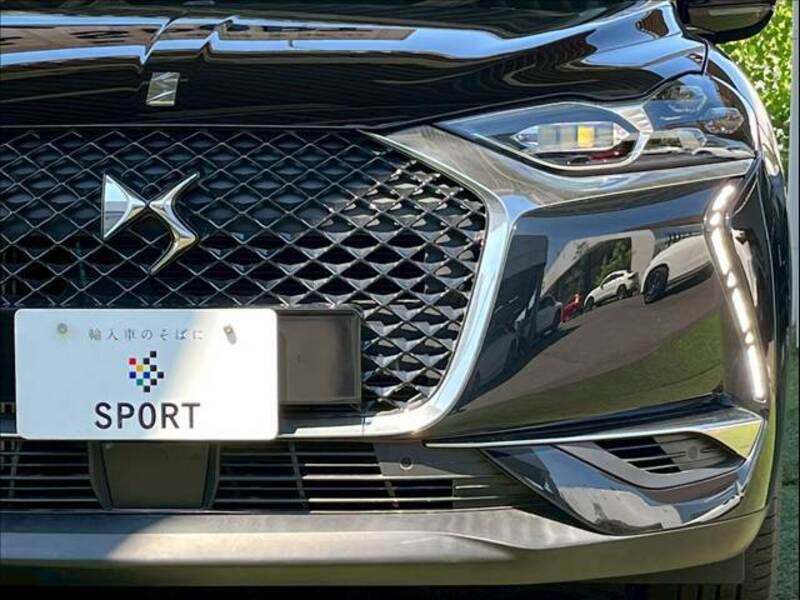 DS3