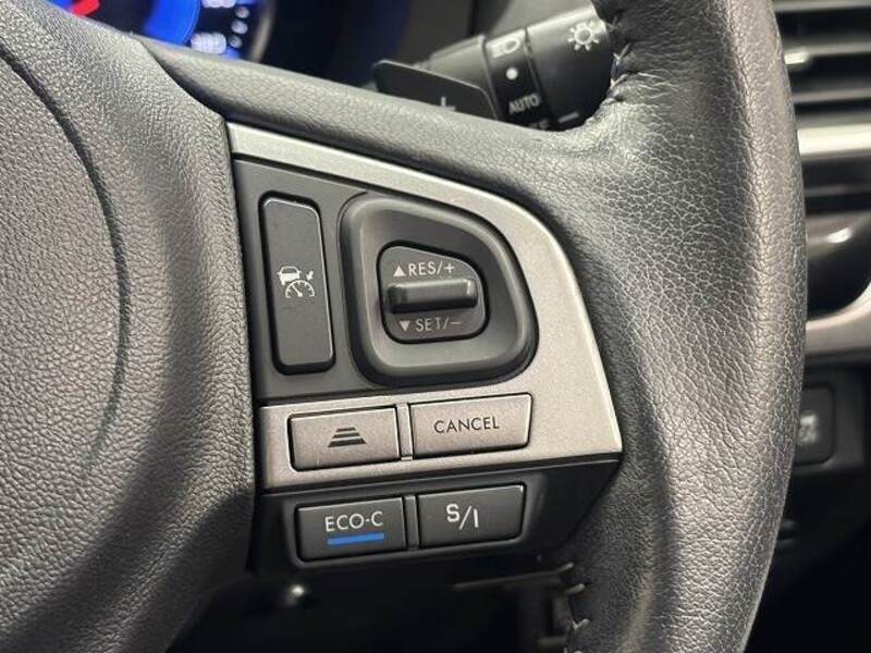 XV