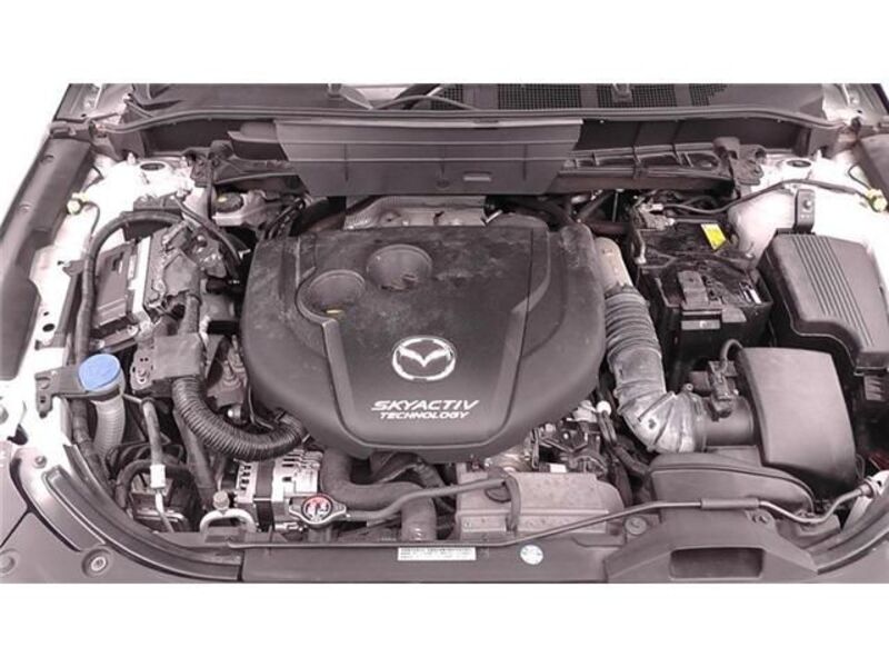 CX-8