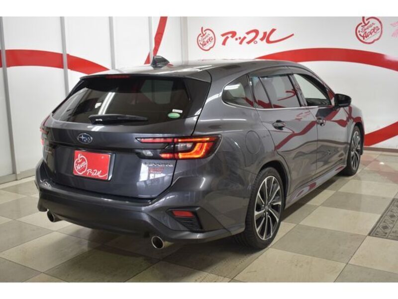 LEVORG