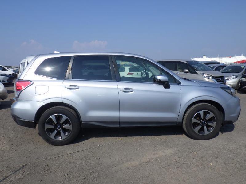 FORESTER