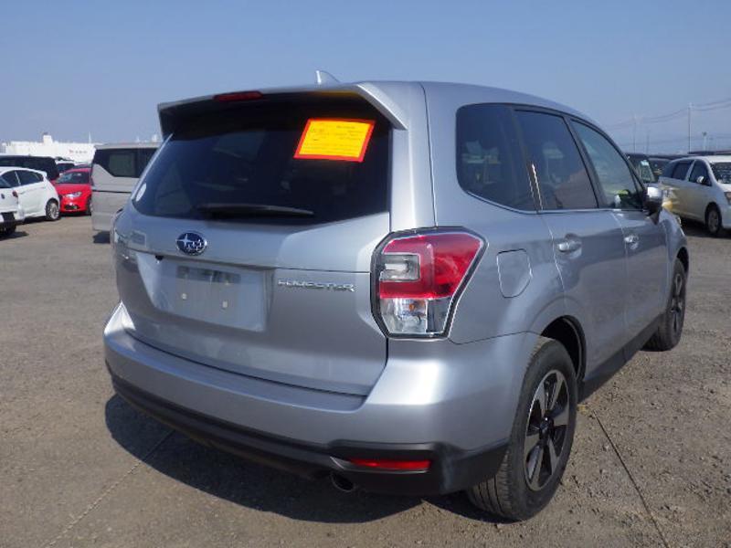 FORESTER