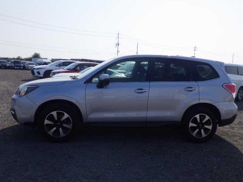 FORESTER