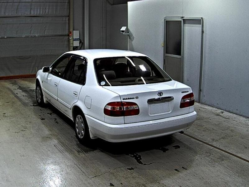 COROLLA